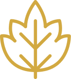 Earth Friendly